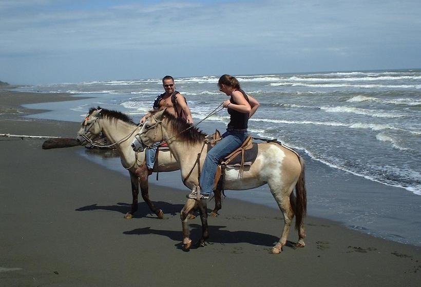 リゾートホテル Samasati Retreat And Rainforest Sanctuary