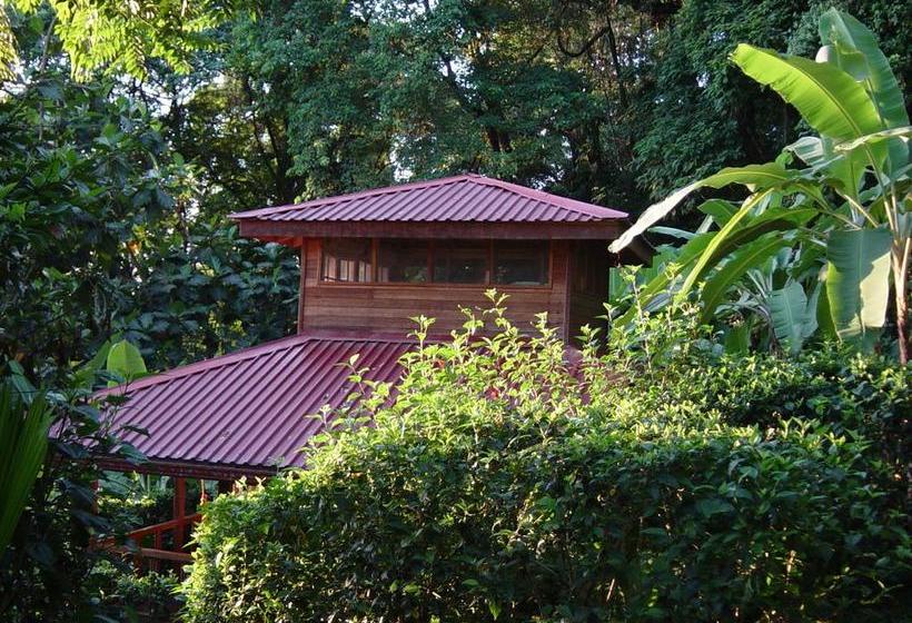 リゾートホテル Samasati Retreat And Rainforest Sanctuary