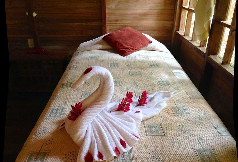 リゾートホテル Samasati Retreat And Rainforest Sanctuary