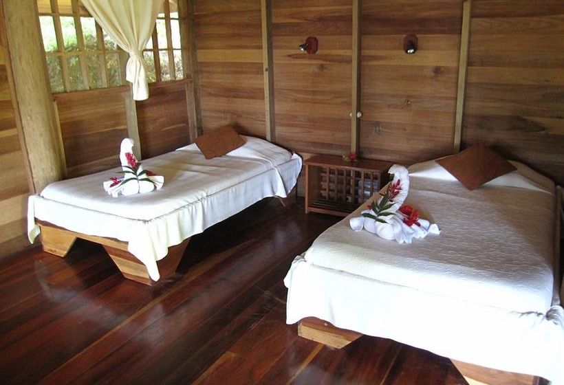 リゾートホテル Samasati Retreat And Rainforest Sanctuary