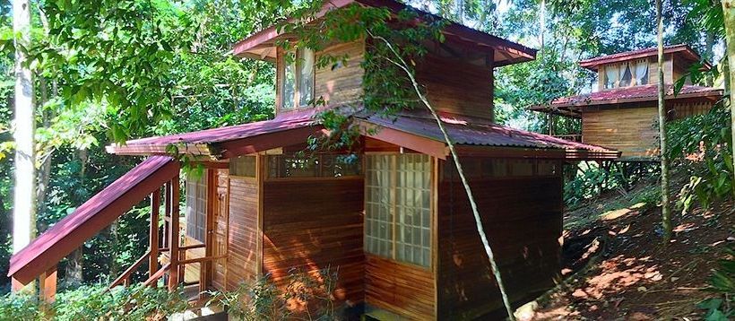 リゾートホテル Samasati Retreat And Rainforest Sanctuary
