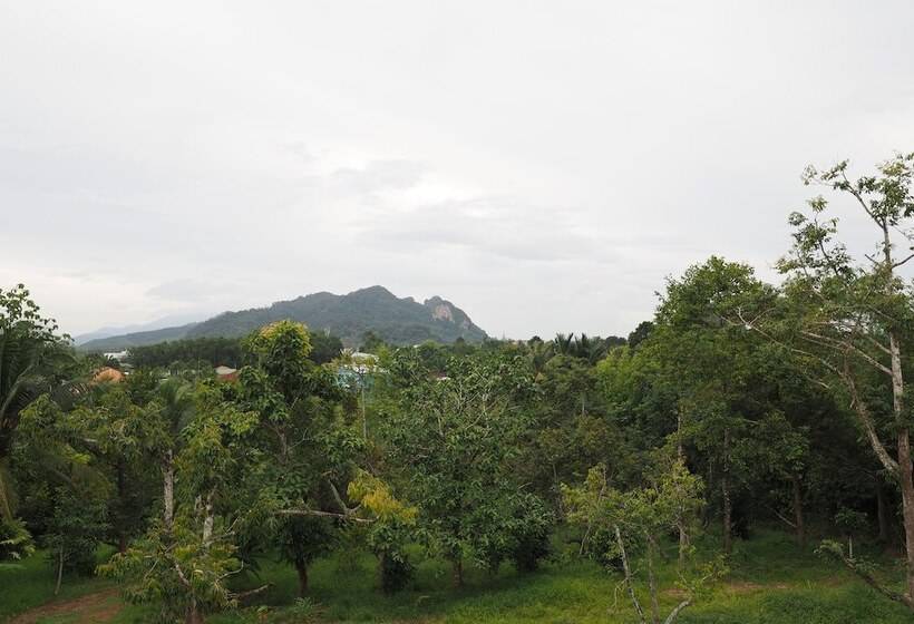 منتجع The Box House