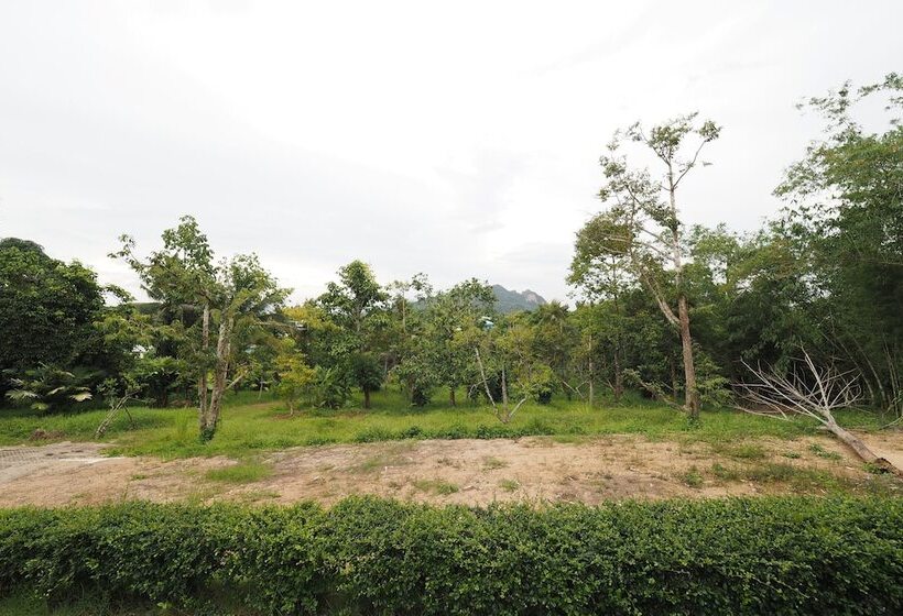 منتجع The Box House