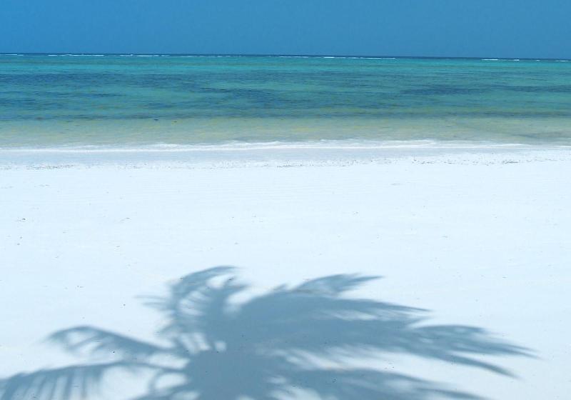منتجع The Palms Zanzibar