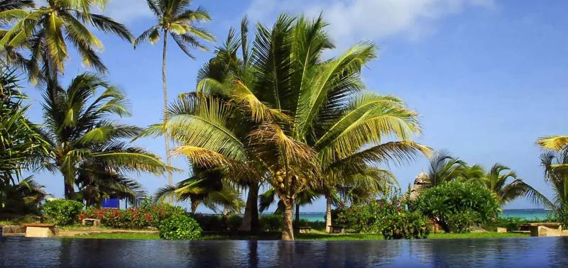 リゾートホテル The Palms Zanzibar
