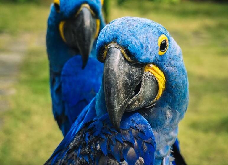 Vedana Lagoon Resort & Spa