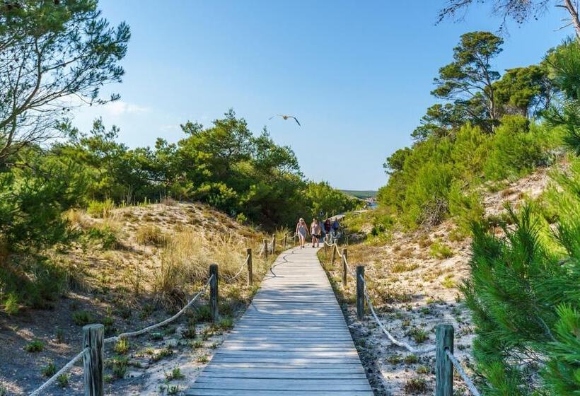 Apartamentos Posidonia