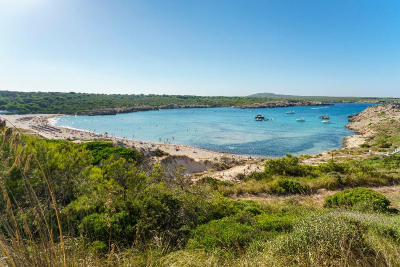 Apartamentos Posidonia