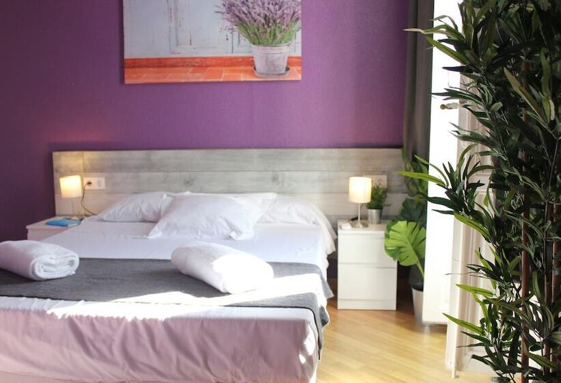 The Art Boutique Colon