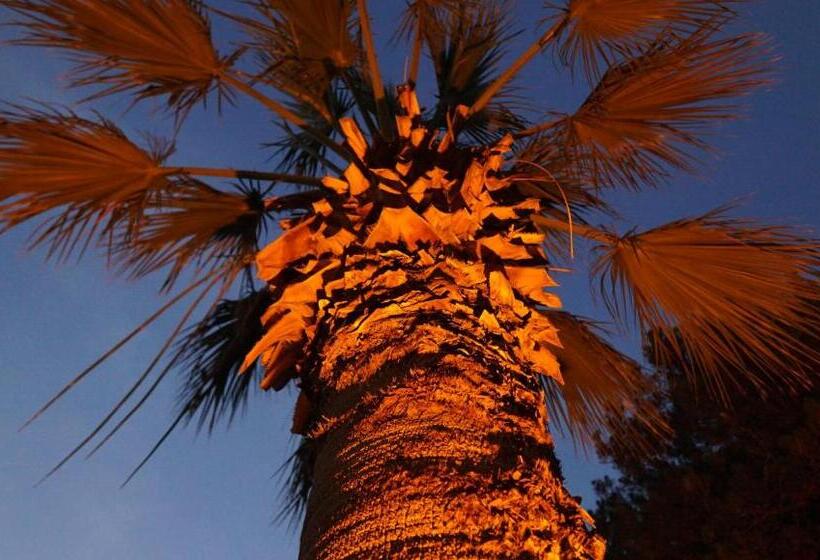 酒店 Ada Newday Resort