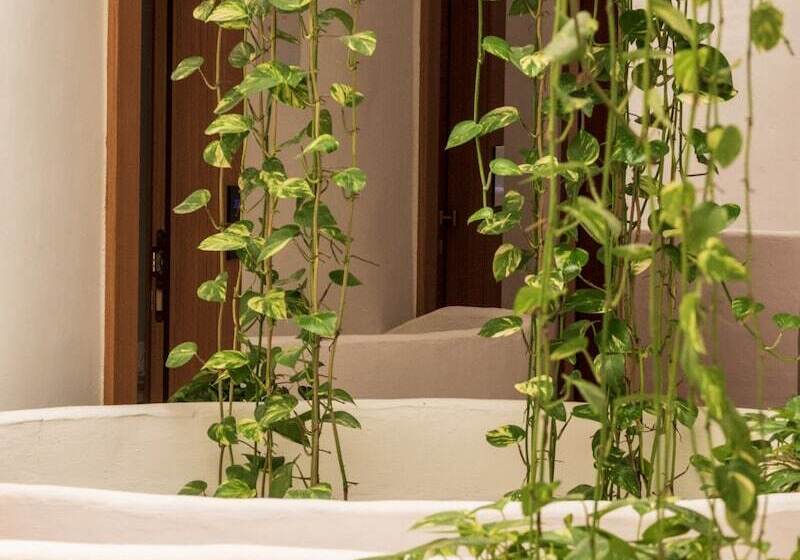 酒店 Approdo Resort Thalasso Spa