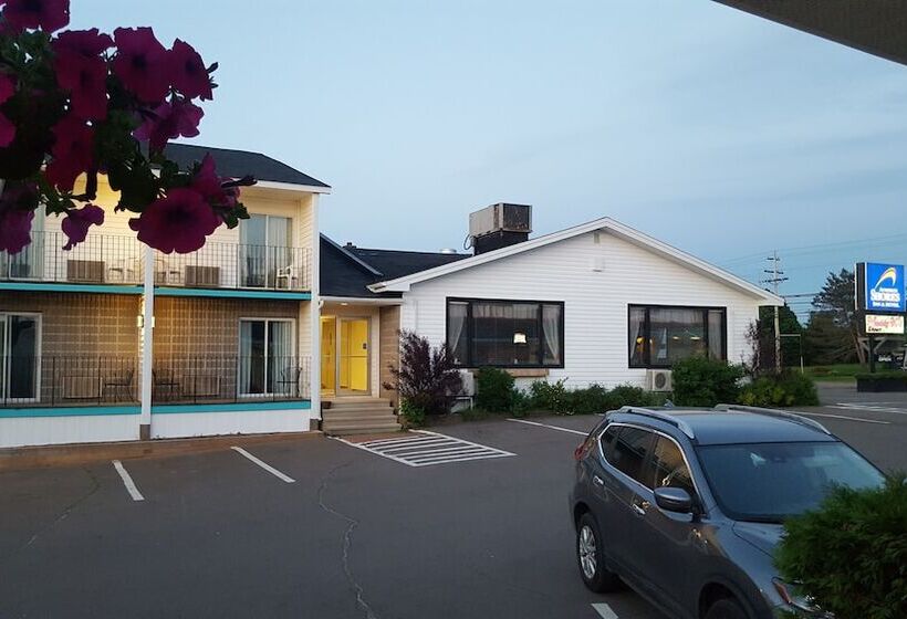 酒店 Auberge Shores Inn &