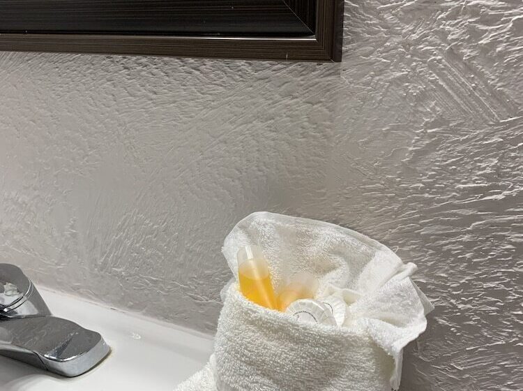 酒店 Auberge Shores Inn &