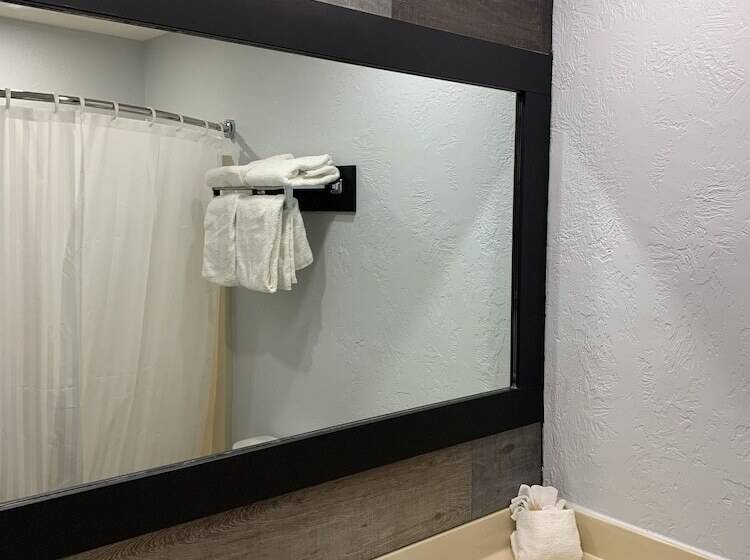 酒店 Auberge Shores Inn &