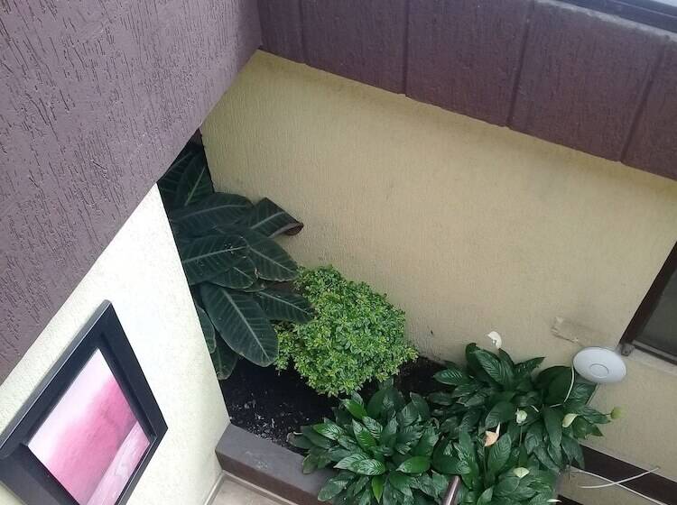 هتل Ayenda 1087 La Estacion