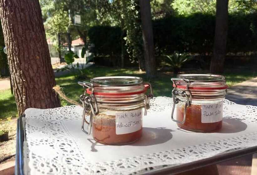 هتل B&b Viale Dei Pini