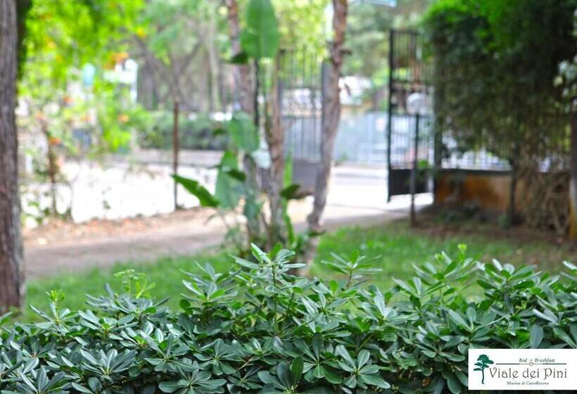 هتل B&b Viale Dei Pini