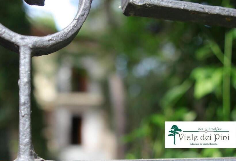 هتل B&b Viale Dei Pini