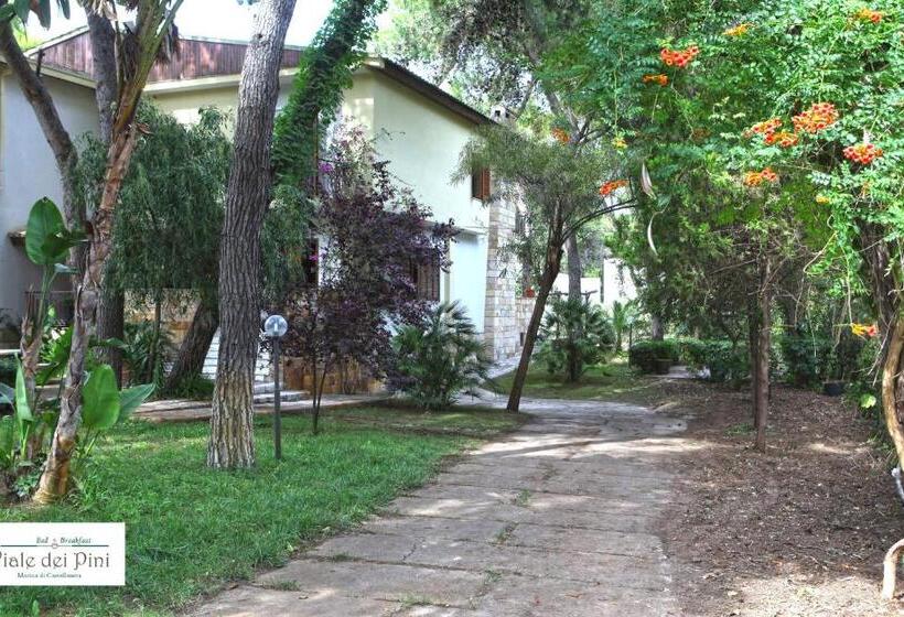 هتل B&b Viale Dei Pini