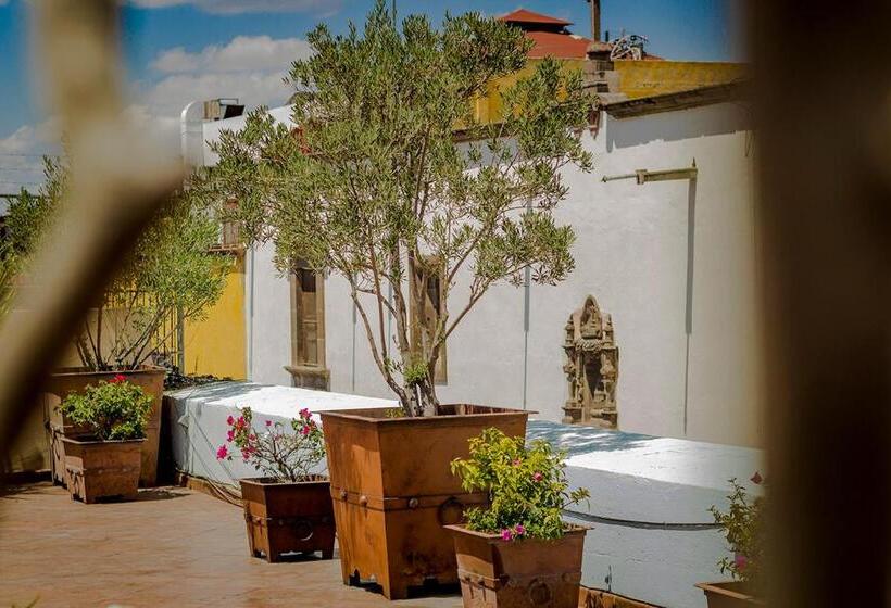 هتل Boutique Hacienda Guadalupe
