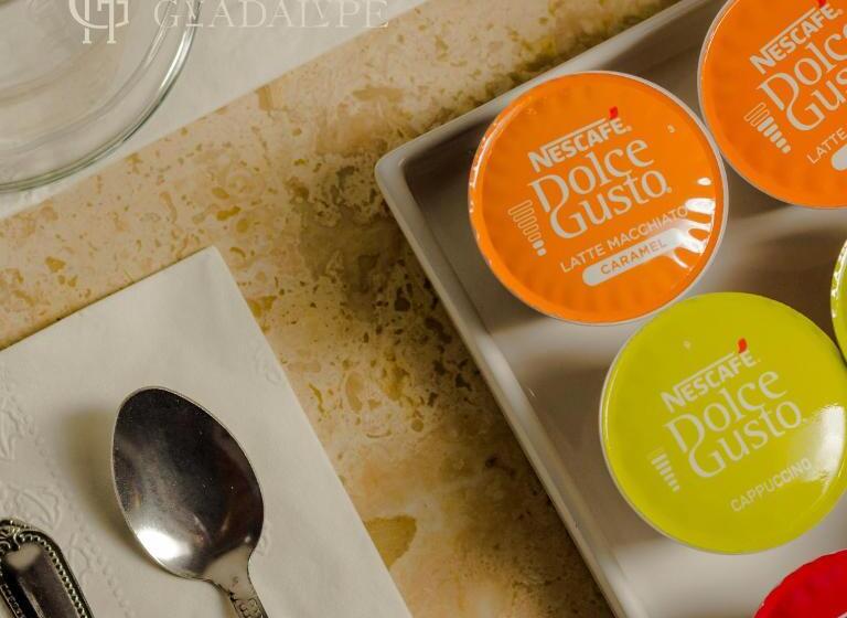 酒店 Boutique Hacienda Guadalupe