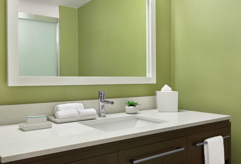 בית מלון כפרי Home2 Suites By Hilton Savannah Airport