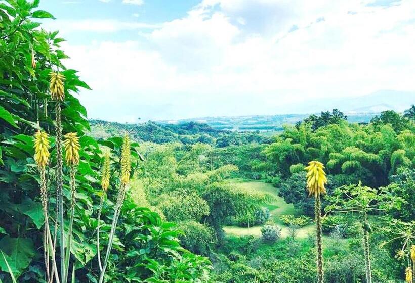 فندق Mirador Las Palmas