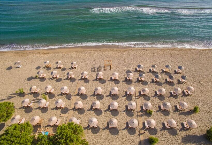 ホテル Paralos Lifestyle Beach Adults Only