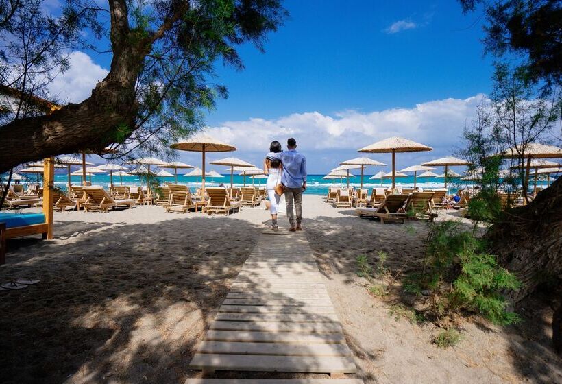 ホテル Paralos Lifestyle Beach Adults Only