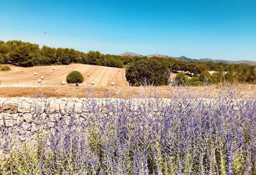 田舎風ホテル Finca Sestelrica