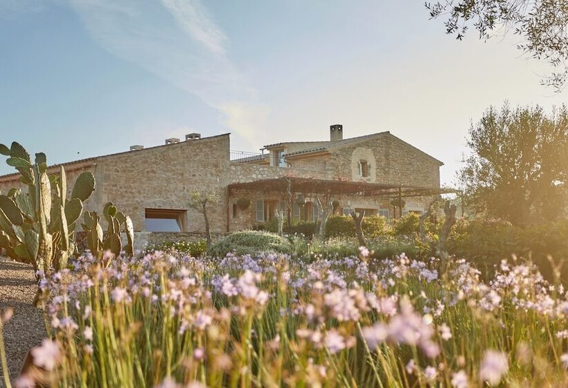 田舎風ホテル Finca Sestelrica