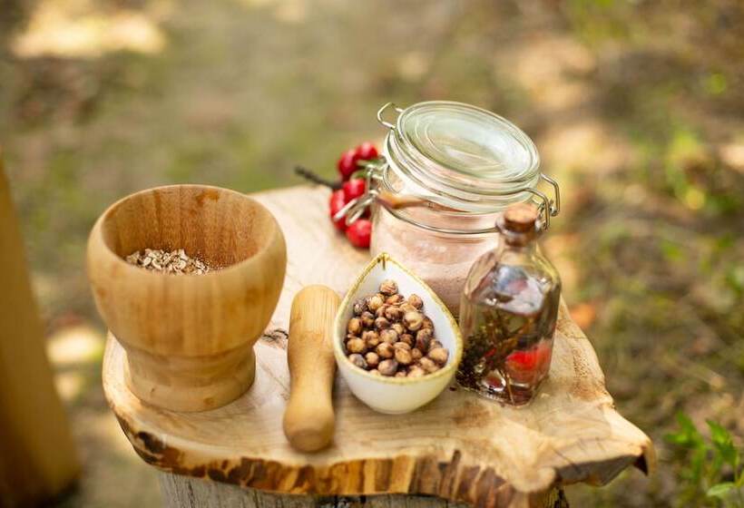 فندق ريفى Quinta Dos Padres Santos, Agroturismo & Spa