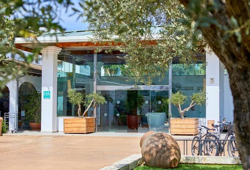 فندق Seaclub Alcudia Mediterranean Resort