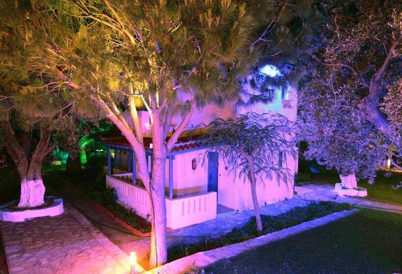 ホテル White Rock Apartments