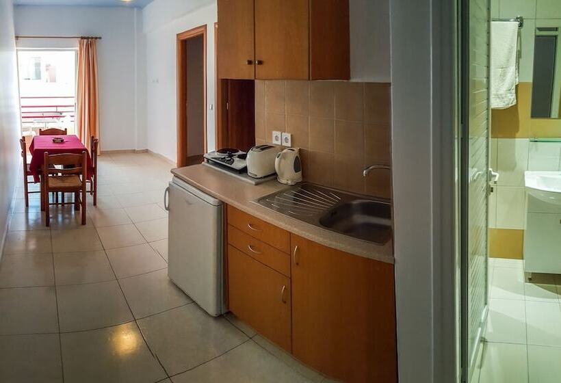 酒店 Zouboulia Apartments