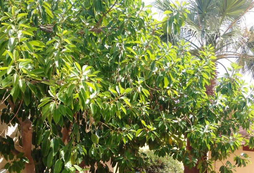 Sundance Apartments & Suites