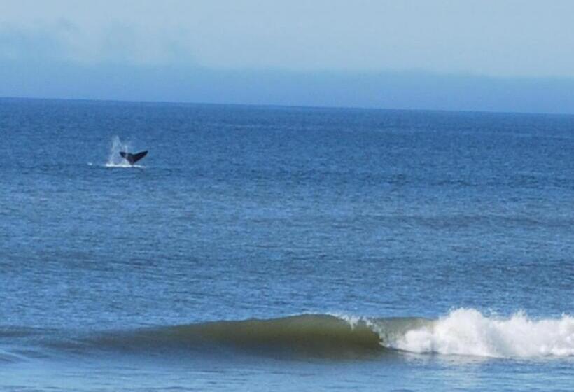 Terrazas De Aguas Dulces