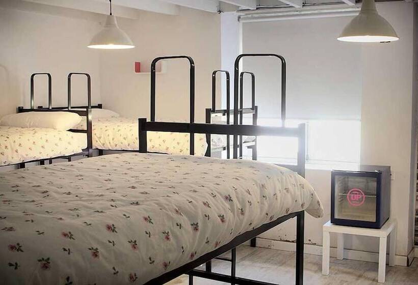 Alamar Salinas   Hostel