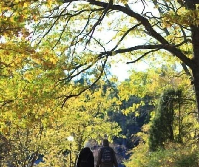 Общежитие Grinda Stugby Och Sea Lodge Pensionat Med Kost & Logi