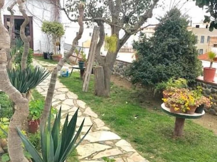 הוסטל Hostal Casa Torrent