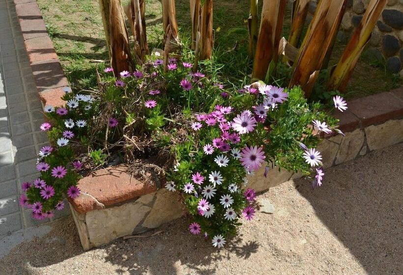 فندق صغير Hostal Casa Torrent