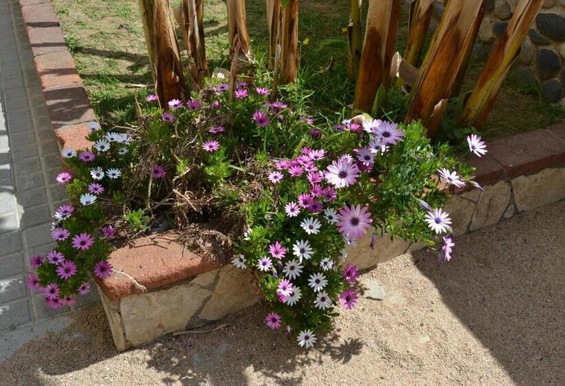 فندق صغير Hostal Casa Torrent