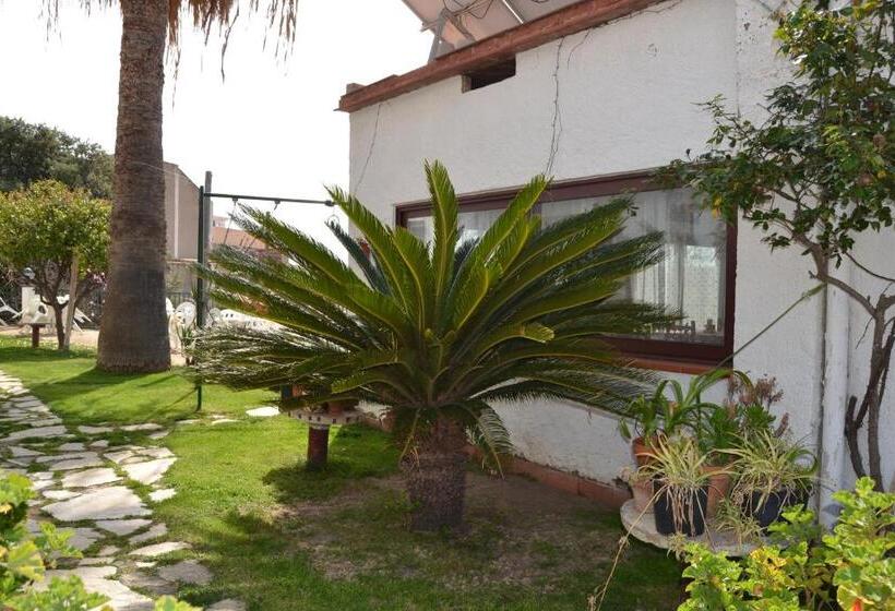 فندق صغير Hostal Casa Torrent