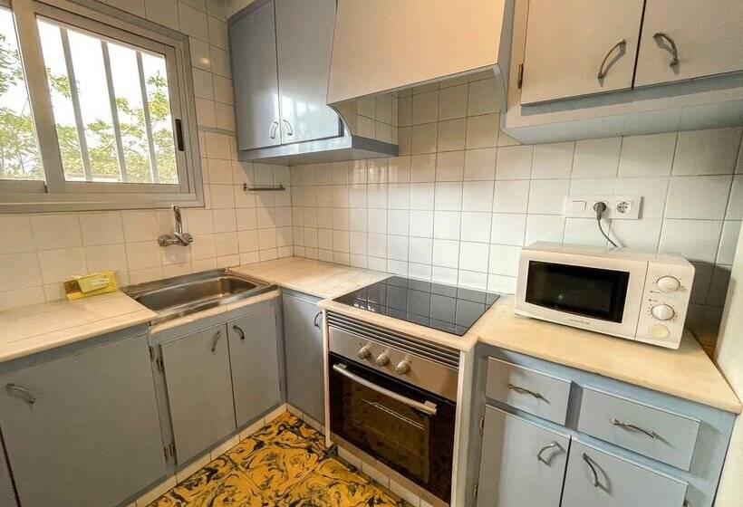 Apartamentos Gandia Daimuz 3000