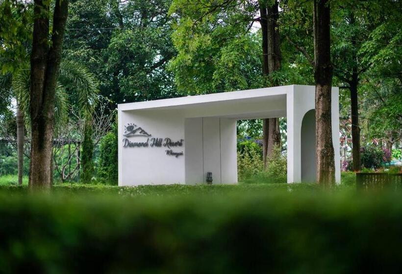 Diamond Hill Resort