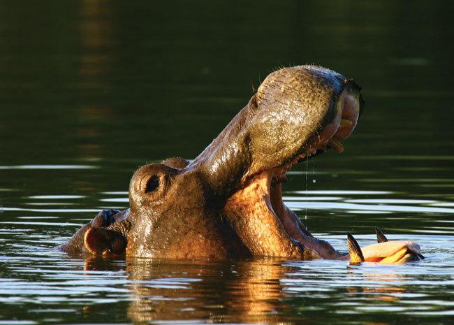 호텔 Hans Merensky & Spa