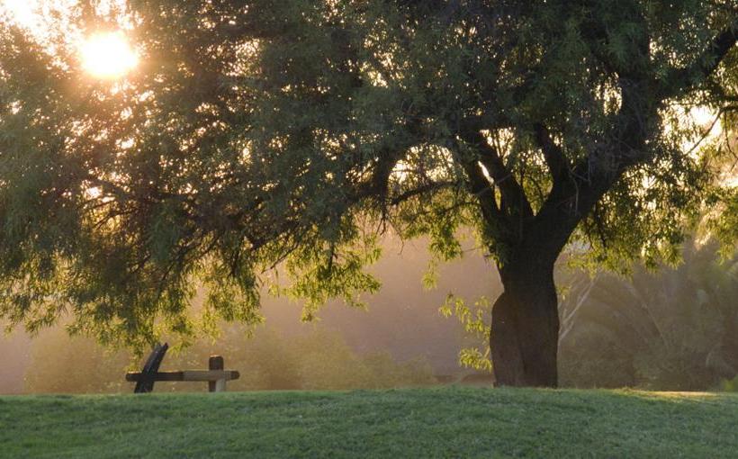 호텔 Hans Merensky & Spa