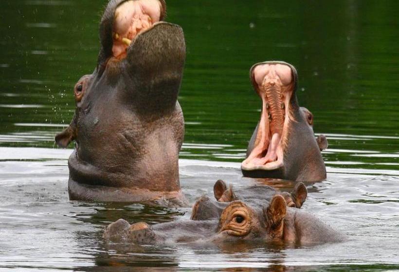 호텔 Hans Merensky & Spa