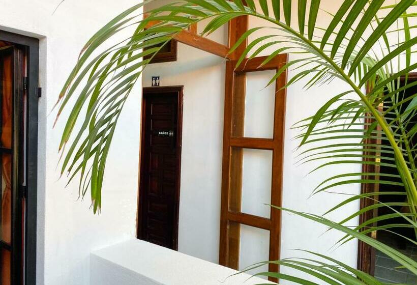 Hostel Inn