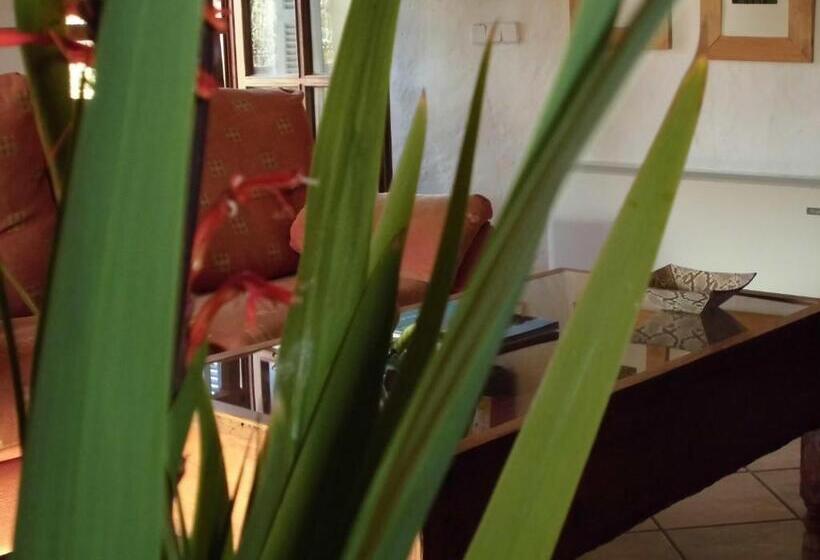 酒店 Agroturismo Na Set Centes   Adults Only